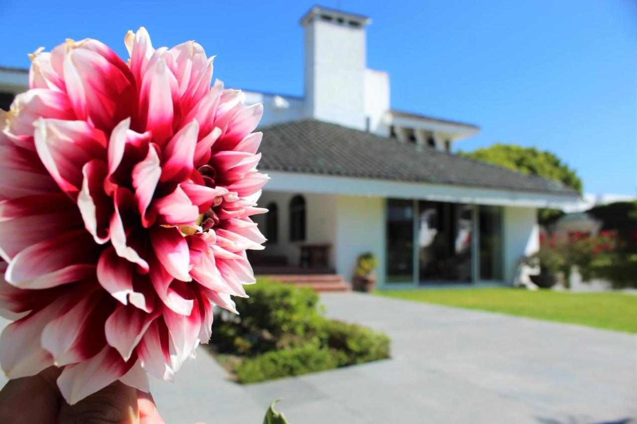Santo Refugio Heritage Hotel San Pedro Cholula Extérieur photo